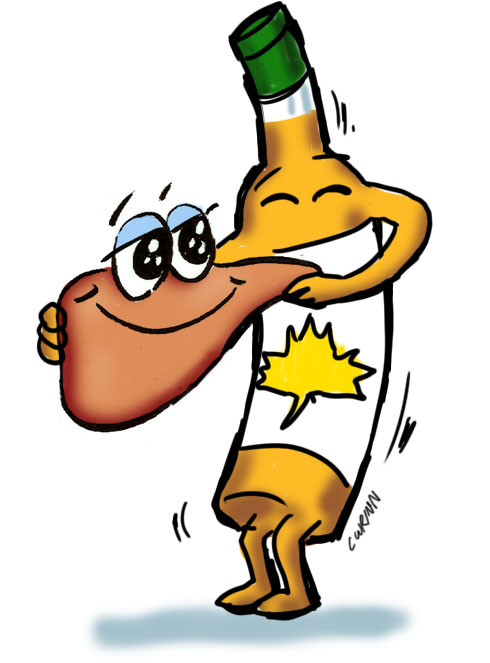 490x663 Liver Disease And Maple Syrup A New Day!