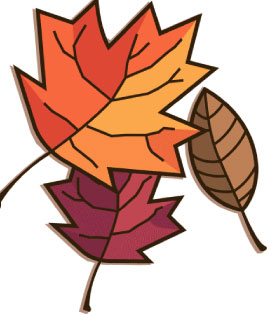 267x316 Maple Leaf Clipart November
