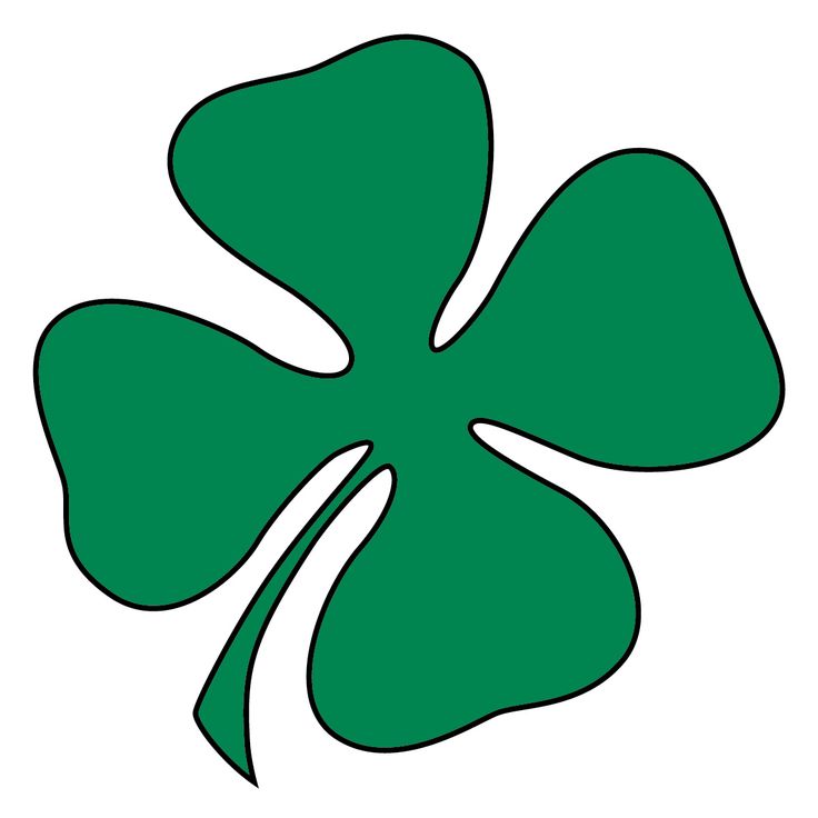 736x736 Guinness Clipart Irish Shamrock
