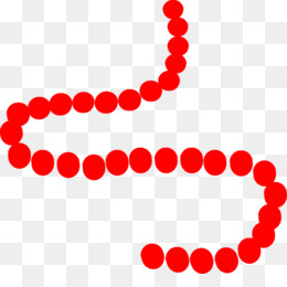 260x260 Bead Mardi Gras Clip Art