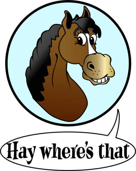 450x564 Hay Where's That, Inc. Hay Where's That, Inc.