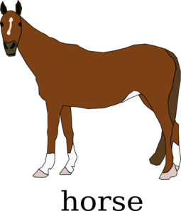 255x298 Horse Clip Art