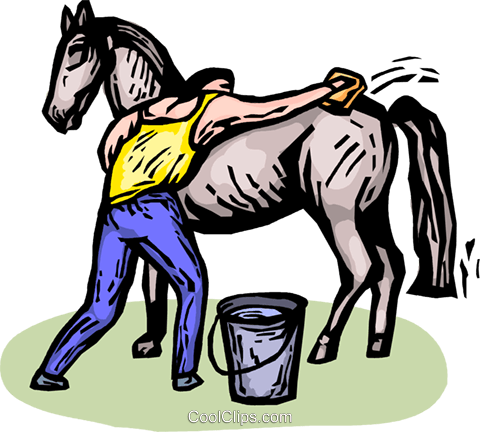 480x432 Man Brushing A Horse Royalty Free Vector Clip Art Illustration