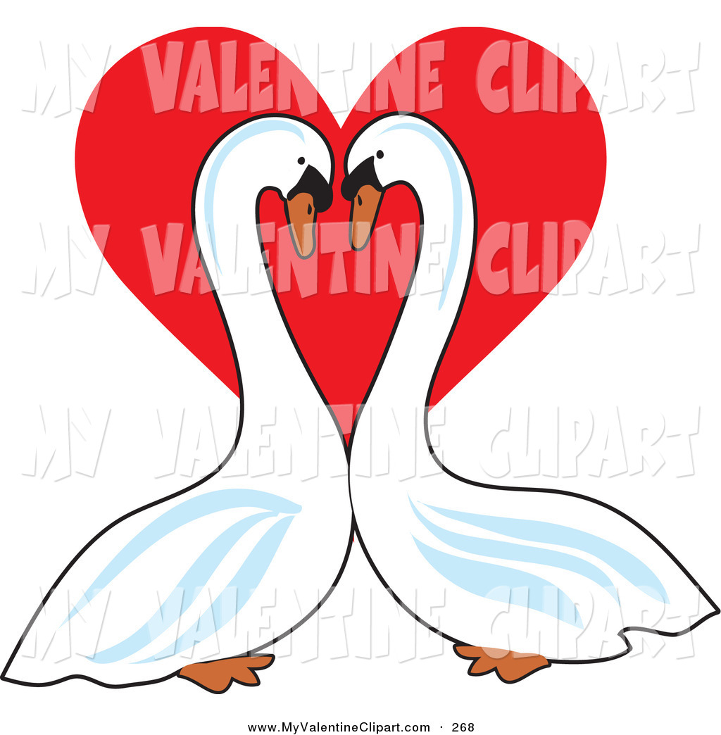 1024x1044 Valentine's Clipart Of A Couple Of Of Mute Swans Face To Face