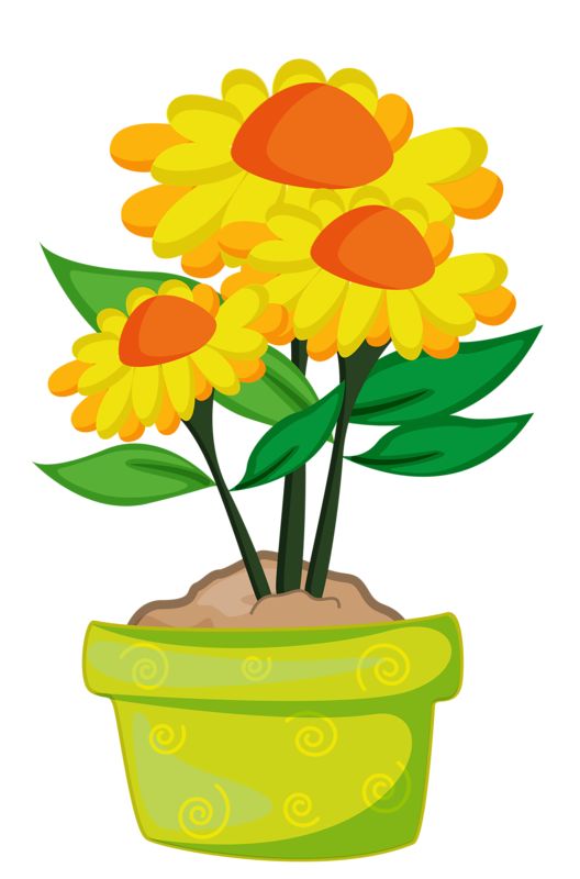 Marigold Clipart