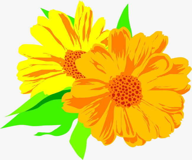 650x543 Hand Painted Chrysanthemum, Flowers, Marigold, Plant Png Image
