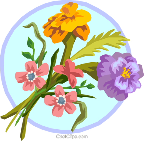 480x471 Marigold Bouquet Royalty Free Vector Clip Art Illustration