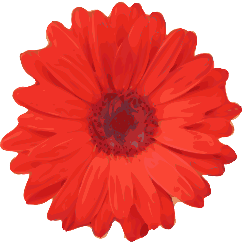 789x800 Daisy Clipart Real Pencil And In Color Clip Art Flower