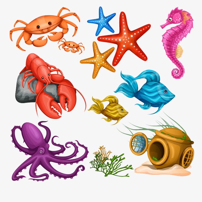 650x650 Cartoon Marine Animals, Cartoon, Crab, Starfish Png Image