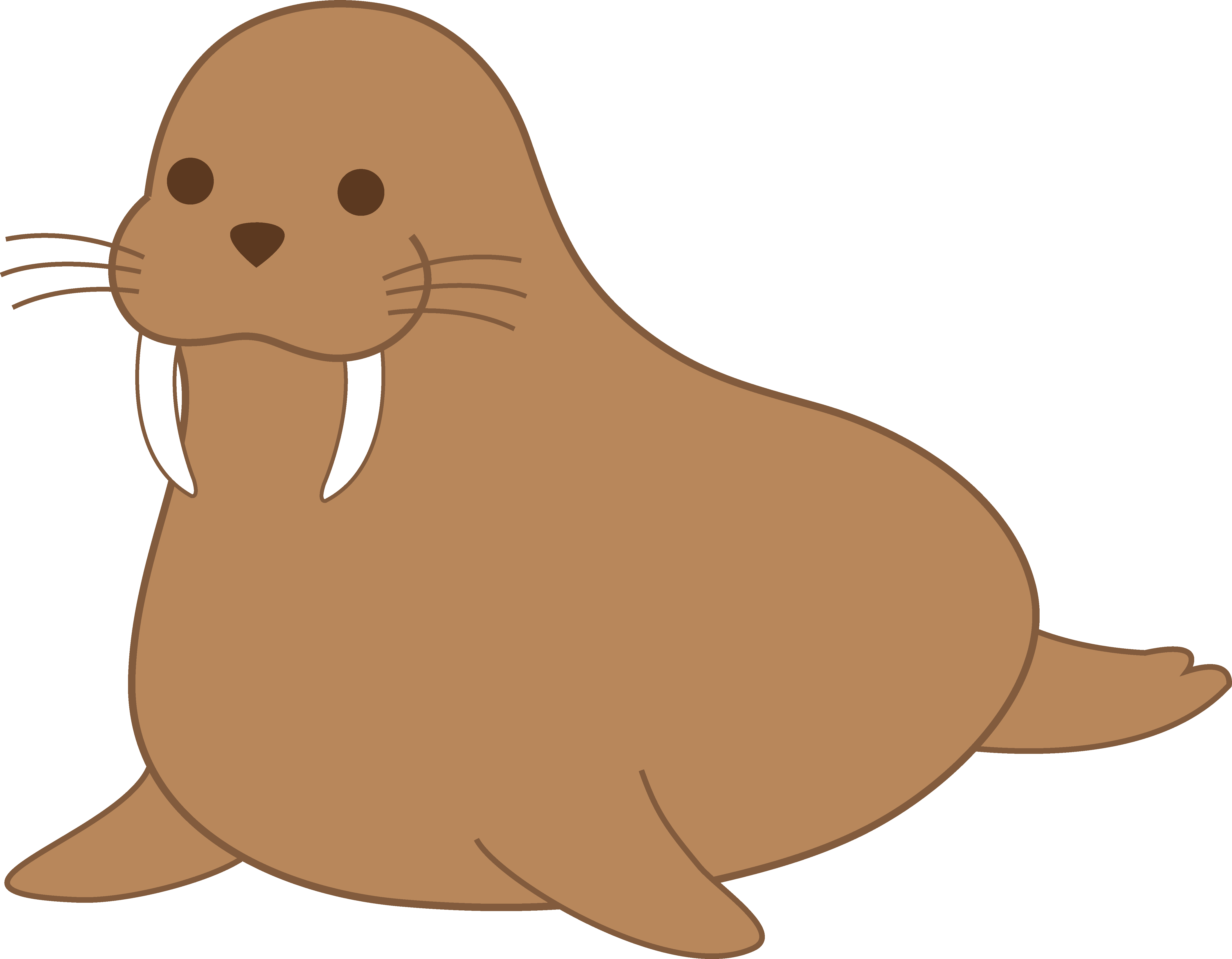 5475x4263 Top 78 Walrus Clip Art
