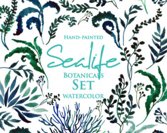 340x270 Marine Life Png Etsy