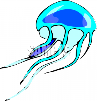335x350 Royalty Free Jellyfish Clip Art, Fish And Sea Life Clipart