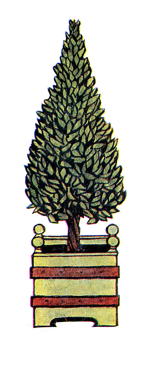 465x1200 Thursday Is Request Day