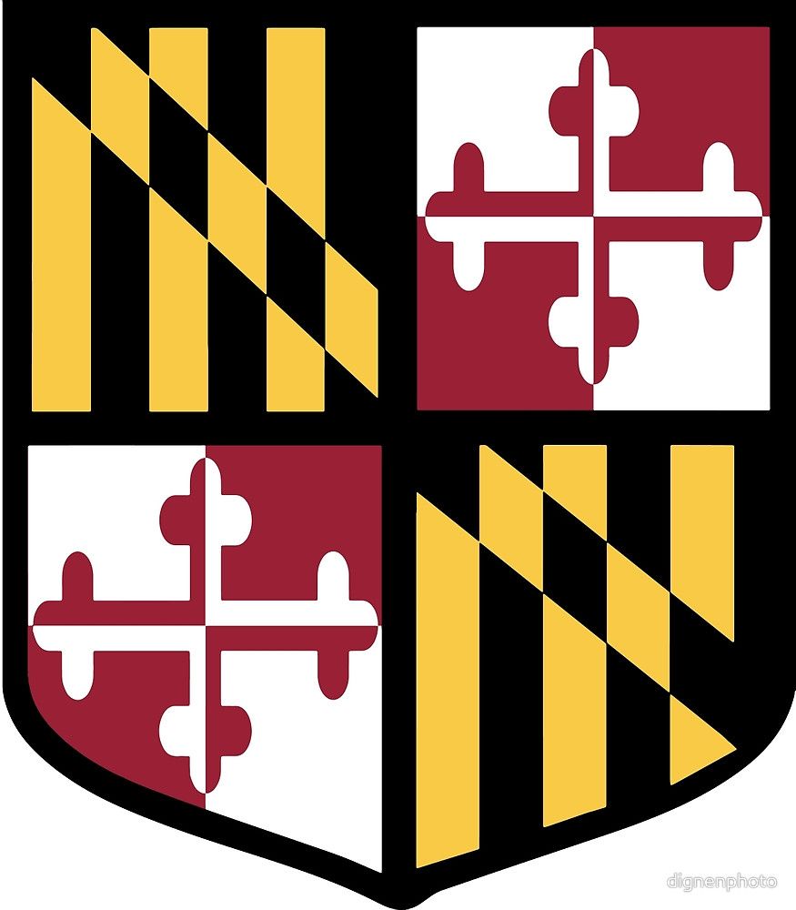 875x1000 Image Result For Maryland Flag Clipart Rock Art