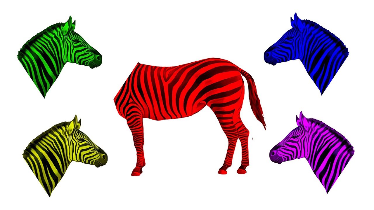 1280x720 Zebra Wrong Head Matching Game W Masha And The Bear Color Finger