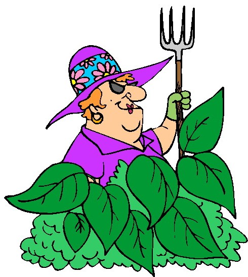 490x546 Town Of Hudson, Ma