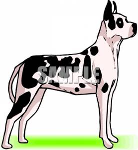 277x300 Dane Clipart