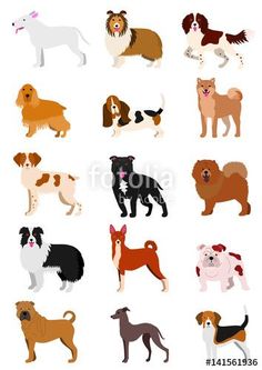 236x333 Dogs Clip Art Bundle {Educlips Clipart} Clip Art, Dog