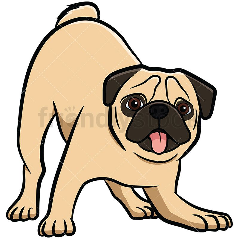 800x800 Apricot Pug Dog On Alert Cartoon Vector Clipart