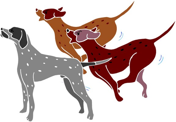 576x400 Bark Clipart