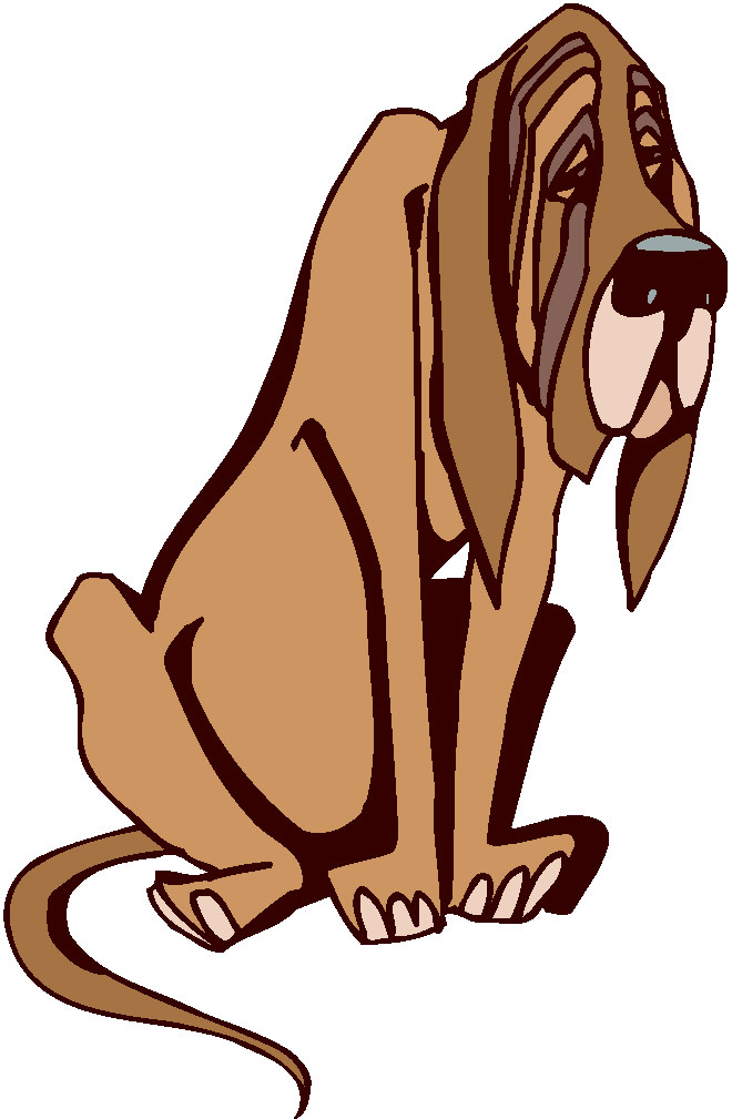 660x1009 Bloodhound Clipart Coon Dog