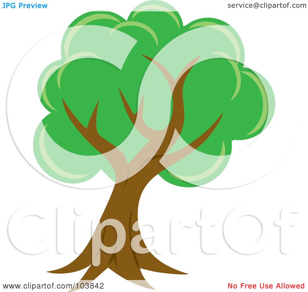 1080x1024 Royalty Free (Rf) Clipart Illustration Of A Lush Mature Tree