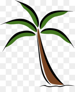 260x320 Free Download Washingtonia Robusta Arecaceae Tree Clip Art