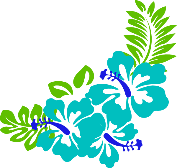 600x570 Maui Flower Boarder Gardening Flower And Vegetables