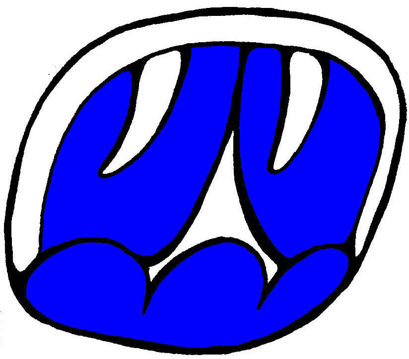 824x723 Lesson 2 The 20 Nahuales And The 13 Numbers Mayan Astrology