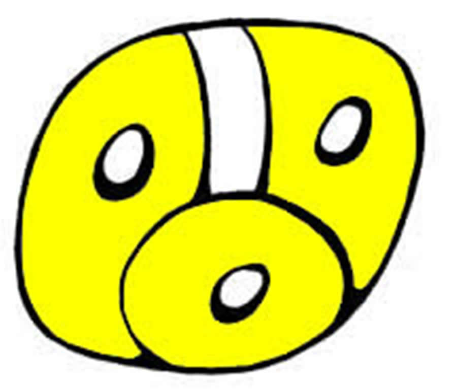 892x767 The Trecena Of Sun (Ajpu In Ki'Che', Ahau In Yucatecan) Mayan