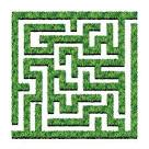 136x136 Clipart Of Outdoor Garden Hedge Maze K42095380