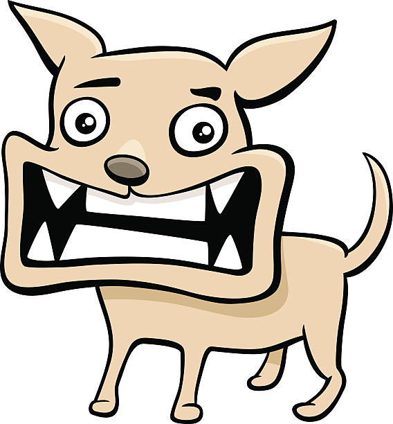 568x612 Chihuahua Clipart Angry