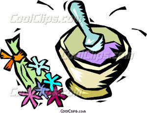 300x230 Herbal Medicine With Mortar Vector Clip Art