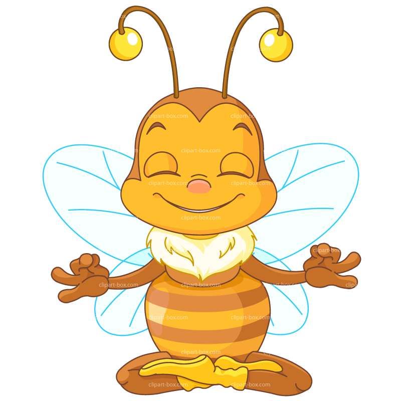 800x800 Clipart Meditation Bee Royalty Free Vector Design Insect Clip