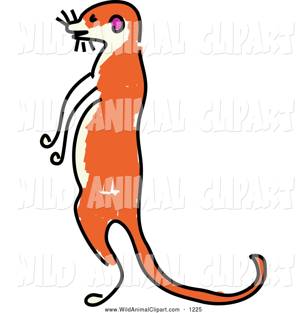 1024x1044 Meerkat Clipart Free Clipart Panda