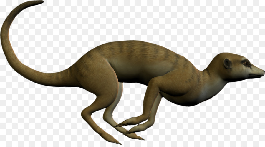 900x500 Meerkat Free Content Clip Art