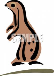 216x300 Meerkat Standing On It's Haunches