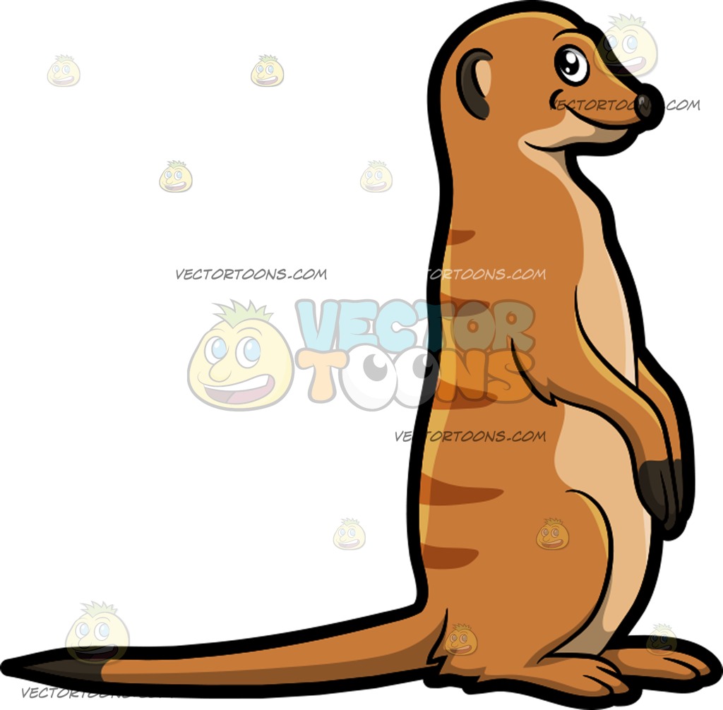1024x1006 A Meerkat Cartoon Clipart Vector Toons