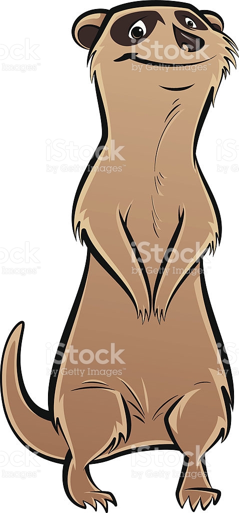 478x1024 Mongoose Clipart Meerkat 3719595