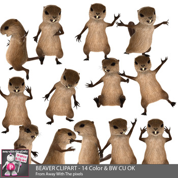 350x350 Funny Beaver Clip Art