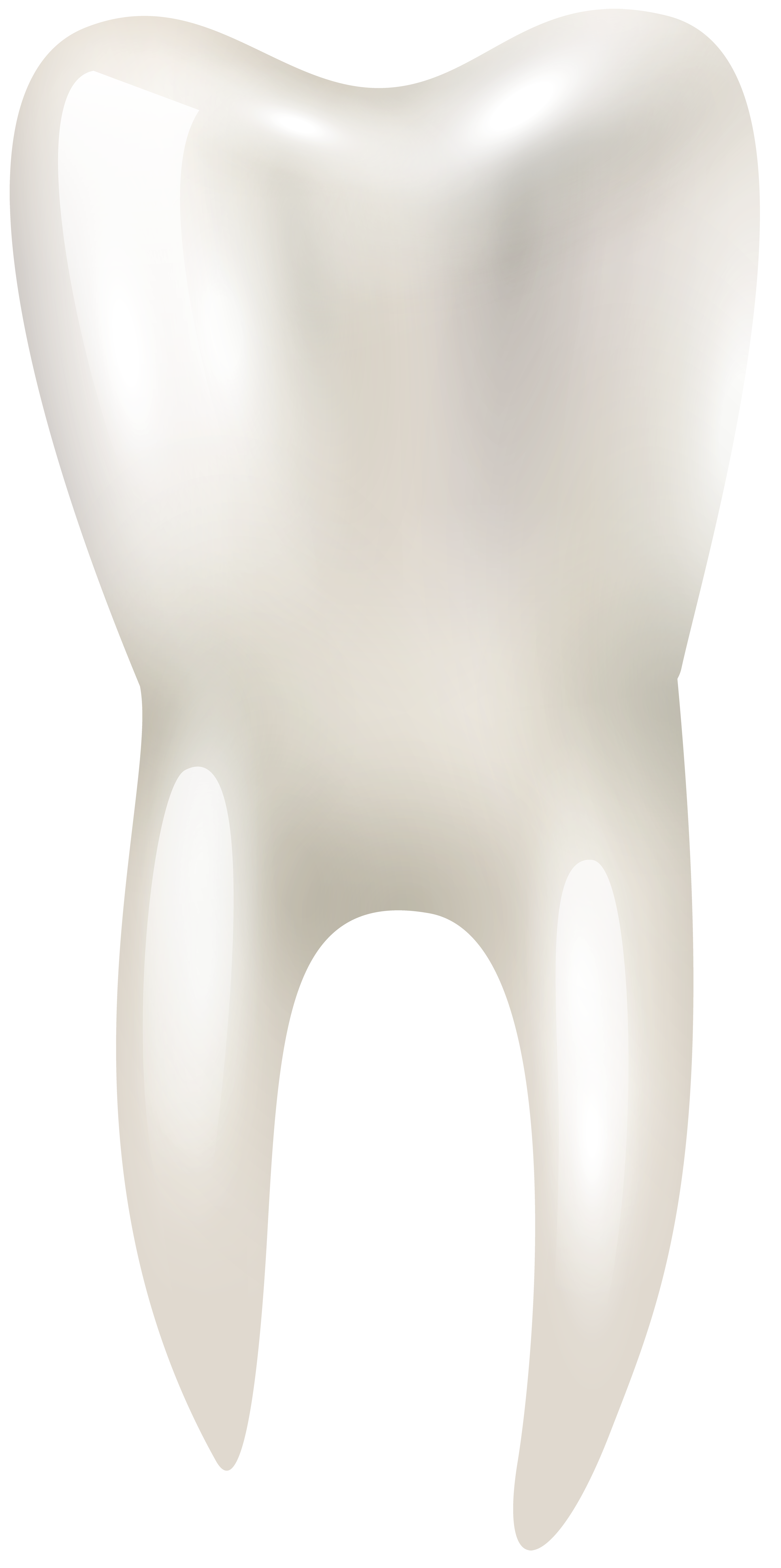 3490x7000 Tooth Png Clip Art