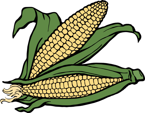 600x468 Corn Clip Art Free Vector 4vector
