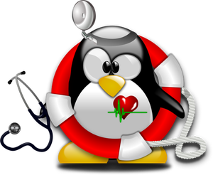 300x246 48 Ambulance Clipart Free Public Domain Vectors