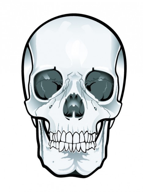 467x626 Skull Art Pictures
