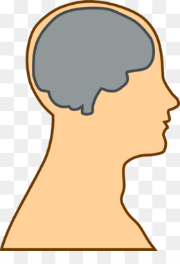 260x380 Human Brain Human Head Clip Art