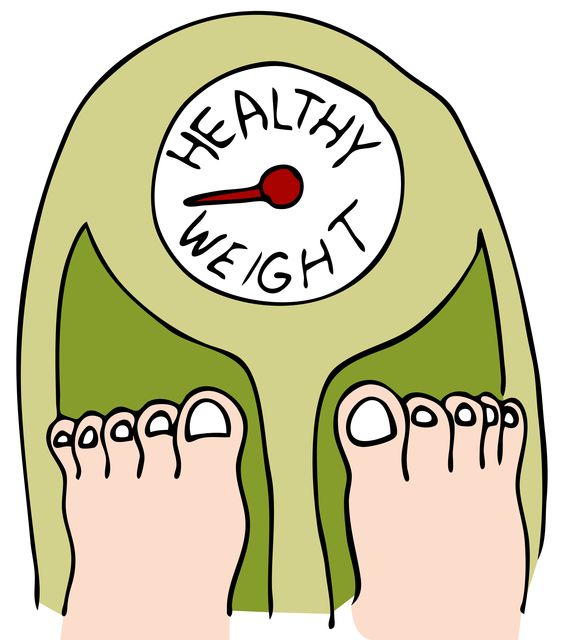 564x640 Weight Loss Clipart