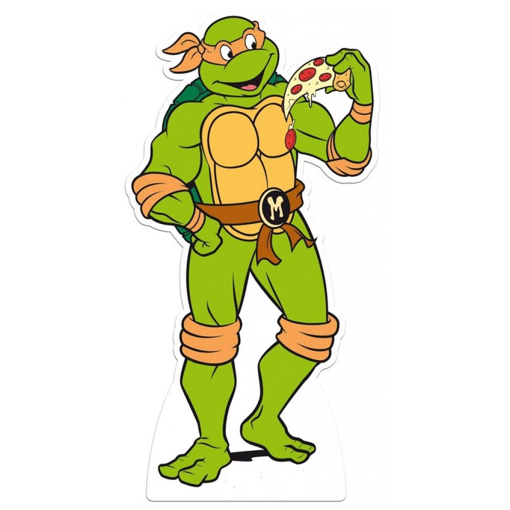 1000x1000 Michelangelo Tmnt Michelangelo, Ninja Turtles And Birthdays