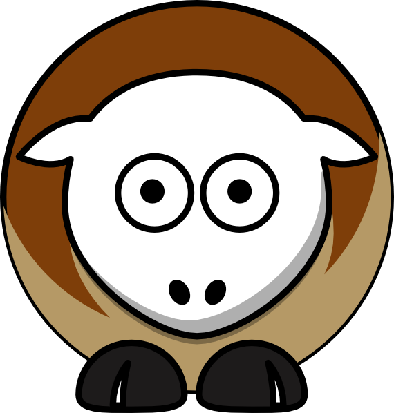570x598 Sheep