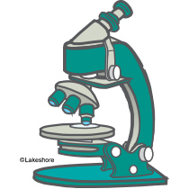 210x210 Microscope Clipart Group