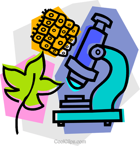 461x480 Microscope With Leaf Royalty Free Vector Clip Art Illustration